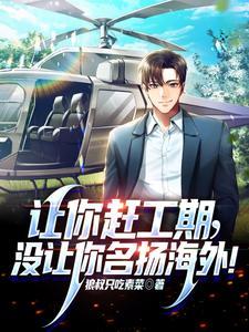 让你赶工期,没让你名扬海外! 让你赶工期,没让你名扬海外!