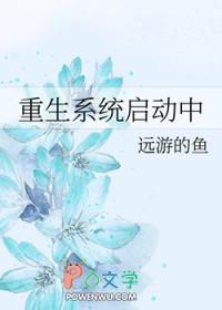 重生系统启动中